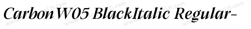 CarbonW05 BlackItalic Regular字体转换